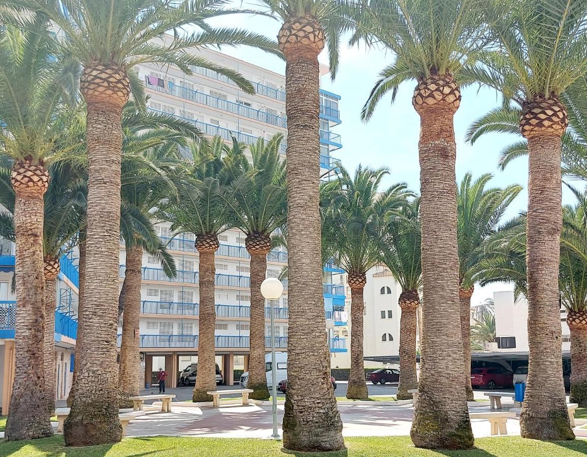 Exclusif Appartement En 1Er Ligne, Vue Imprenable, Piscine, Parking Prive A Playa Mucha Vista, Alicante El Campello Eksteriør billede