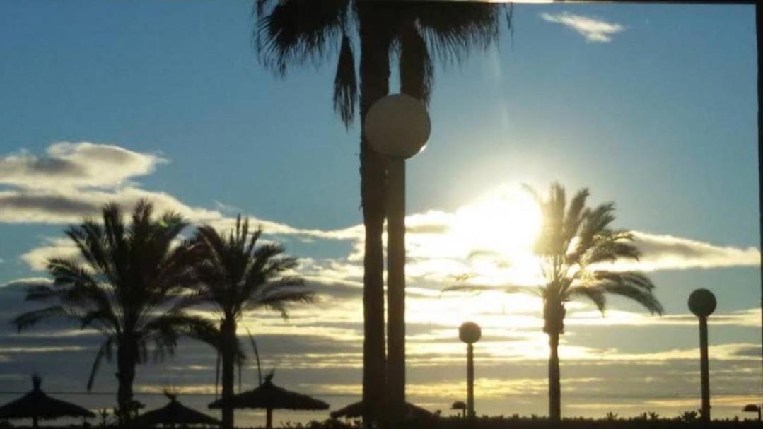 Exclusif Appartement En 1Er Ligne, Vue Imprenable, Piscine, Parking Prive A Playa Mucha Vista, Alicante El Campello Eksteriør billede