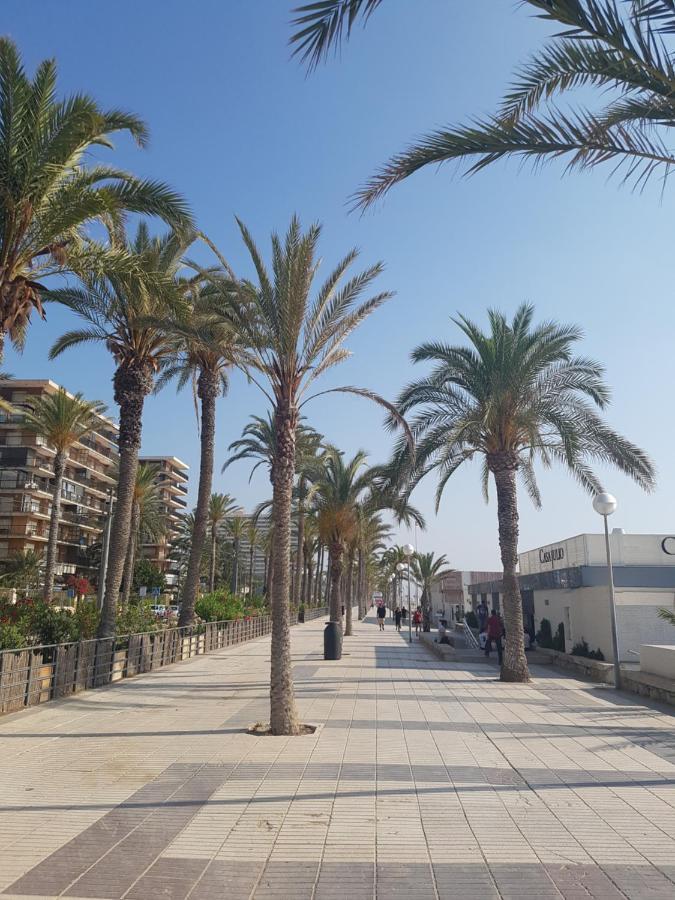 Exclusif Appartement En 1Er Ligne, Vue Imprenable, Piscine, Parking Prive A Playa Mucha Vista, Alicante El Campello Eksteriør billede